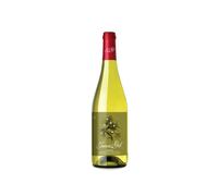Juan Gil Moscatel Seco 2025