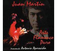 Juan Martin : Arte Flamenco Puro CD (2005) NEW FREE Shipping, Save £s