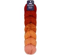 JubileeYarn Moonlight Medley Yarn - Ombre DK Weight Merino Wool/Acrylic - 200g/Hank - Aries - 1 Skein