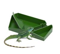 Jubilofex Reptile Feeding - Feeding for Reptiles | Multifunctional Removable Food, Drinking for Small Animals, Reptile Food for There