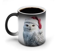 Jubonexis Cute Snowy Owl Wearing Red Santa Hat Color Changing Mugs Heat Changing Ceramic Coffee Mug Novelty Funny Tea Water Cup 11OZ