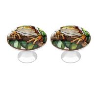 Jubonexis Cute Tree Frog with Big Eyes Round Drawer Cabinet Knobs Handles with Screws,2 Pcs, Drawer Dresser Knob Pulls Decor for Wardrobe Cupboard Home Office Kitchen