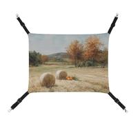 Jubonexis Fall Landscape Hay Field Autumn Trees Pumpkins Breathable Pet Hammock with Adjustable Straps Reversible Cat Hanging Bed Dog Mats