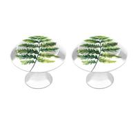 Jubonexis Fern Leaf Soft Watercolor Round Drawer Cabinet Knobs Handles with Screws,2 Pcs, Drawer Dresser Knob Pulls Decor for Wardrobe Cupboard Home Office Kitchen