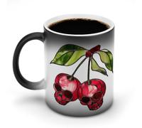 Jubonexis Red Stained Glass Cherries with Skull Faces Color Changing Mugs Heat Changing Ceramic Coffee Mug Novelty Funny Tea Water Cup 11OZ
