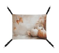 Jubonexis Rustic Autumn Pumpkins And Leaves Breathable Pet Hammock with Adjustable Straps Reversible Cat Hanging Bed Dog Mats