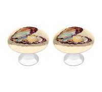 Jubonexis Shell with A Shiny Pearl Inside Round Drawer Cabinet Knobs Handles with Screws,2 Pcs, Drawer Dresser Knob Pulls Decor for Wardrobe Cupboard Home Office Kitchen