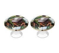 Jubonexis Stained Glass of A Tree Frog with Big Eyes Round Drawer Cabinet Knobs Handles with Screws,2 Pcs, Drawer Dresser Knob Pulls Decor for Wardrobe Cupboard Home Office Kitchen