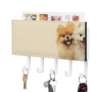 Jubonexis Two Happy Smiling Dogs Key Holder for Wall Mail Organizer Wall Mount with 5 Hooks Acrylic Key Rack for Home Office Entryway