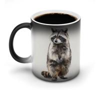 Jubonexis Watercolor Raccoon Color Changing Mugs Heat Changing Ceramic Coffee Mug Novelty Funny Tea Water Cup 11OZ