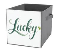 Jubonexis Watercolor Script Word Lucky in Soft Emerald Green Cube Storage Bins Storage Cubes Foldable Decorative Fabric Storage Baskets Home Organizers with Handles for Shelves,Closet, 27x27 CM