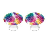 Jubonexis Watercolor Tropical Pineapple Fruit Color Splash Round Drawer Cabinet Knobs Handles with Screws,2 Pcs, Drawer Dresser Knob Pulls Decor for Wardrobe Cupboard Home Office Kitchen