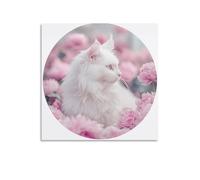 Jubonexis White Long Haired Cat Canvas Wall Art Poster Painting Aesthetic Picture for Living Room Farmhouse Decor Unframed 16x16inch(40x40cm)
