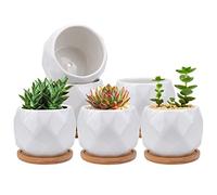 Jucoan 6 Pack Ceramic Succulent Planter Pot with Bamboo Tray, 10 cm Small White Diamond Shaped Cactus Herb Flowers Planter with Drainage Hole
