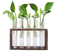 Jucoan Glass Planter Propagation Station, Wall Hanging Plant Terrarium with Wooden Stand, Glass Test Tube Flowers Bud Vase for Hydroponic Plants, Home Office Decor (5 Test Tubes &1 Brush)