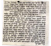 Judaica Kosher 7cm Mezuzah Scroll 2.8 Inch klaf Mezuza Parchment