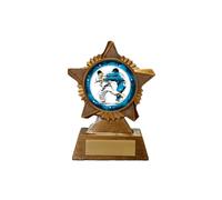 Judo Trophy Award Premier Star Antique Gold 120mm Heavy Resin Martial Arts Free Engraving -troshow1-gd