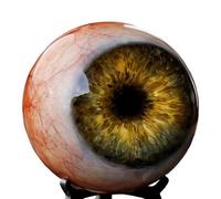 Juebueix Hyper-Realistic Gothic Eyeball Ornament, 3D Lifelike Dark Fantasy Eye Sculpture, Unique Spooky Gift for Horror Fans, Creepy Desk Decor for Gothic Home & Halloween Yellow 1pc