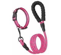 Juego de Collar y Correa para Perro Reflectante con Mango Acolchado - Ajustable, Resistente y Cómodo para Paseos