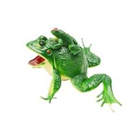 JUFYVO Frogs Toy Rainforest Woodland Animals Toy Learning Educational Toys Frog Decorations Tiny Frogs Figurines for Toddlers