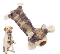 Juguete indestructible para perro - Oso de peluche masticable para perros Juguetes interactivos para cachorros, perfecto para morder, jugar y mantener dientes sanos