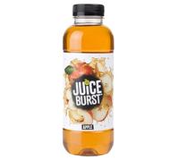 Juice Burst Fruit Juice Bursting with Flavour, Refreshing Drink (Pack Of 24 x 500ml, Apple)
