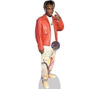 Juice Wrld (Jacket) Mini Size Cutout