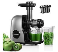 Juicer Machines, HOUSNAT Slow Masticating Juicers Whole Fruit and Vegetable, Professional Cold Press Juicer Extractor with Quiet Motor and Reverse Function Easy to Clean, Brush & Recipes Included