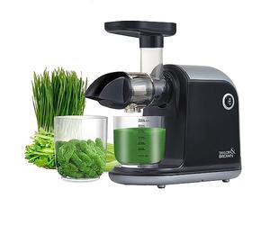 Juicer Machines, TAYLOR & BROWN Slow Masticating Juicers Whole Fruit and Vegetable, Professional Cold Press Juicer Extractor with Quiet Motor and Reverse Function Easy to Clean, Brush Included