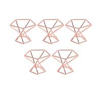 Juinrinet Air Plant Holder Pack 5 Rose Gold Air Fern Stand for Decor | Multipurpose stand suitable for air plants and artificial flowers; perfect for home, , and events.