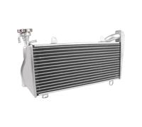 JUJIKCLPF motorcycle radiator net For Ducati For Panigale 899 959 1299 1199 S R 2012-2019 Motorcycle Engine Radiator Cooler Cooling Water Tank