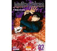 Jujutsu Kaisen T02 (2)