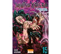 Jujutsu Kaisen T15