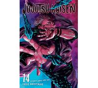 Gege Akutami – Jujutsu Kaisen, Vol. 14 – Book