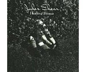 Jules Shear - Healing Bones