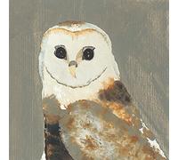 Julia Burns "Barn Owl Canvas Print, Multi-Colour, 40 x 40 cm