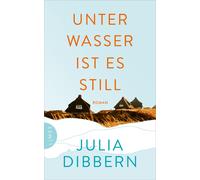 Julia Dibbern Unter Wasser ist es still: Roman (Hardback)