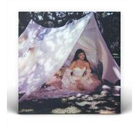 Julia Mestre - Maravilhosamente Bem [VINYL]