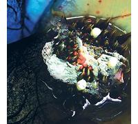 Julia Reidy - In Real Life [VINYL]