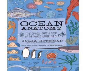 Julia Rothman Ocean Anatomy Paperback Book Julia Rothman Multicolor