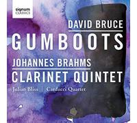 Julian Bliss (Klarinette) - David Bruce: Gumboots/Johannes Brahms: Clarinet Quintet