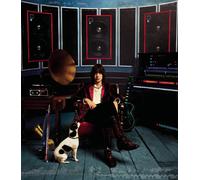Julian Casablancas - Phrazes For The Young [VINYL]