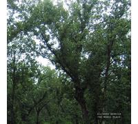 Julianna Barwick - The Magic Place (2024 Remastered) [VINYL]