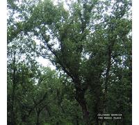 Julianna Barwick - The Magic Place (2024 Remastered) [VINYL]