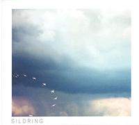 Julie & Andreas - LP-JULIE & ANDREAS-ENE SILDRING -LP-