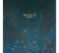 Julie Beth Napolin - Only The Void Stands Between Us [VINYL]