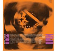 JULIE DRISCOLL, BRIAN AUGER & THE TRINIT - OPEN [VINYL]