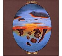 Julie Tippetts - Sunset Glow