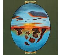 Julie Tippetts – Sunset Glow – CD – Remastered Edition (2022)