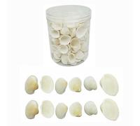 Julie Wang 220 PCS Mini Small Sea Shells Natural Tiny Conch Shells for Crafts DIY Beach Theme Party Wedding Decoration Candle Making Fish Tank Vase Filler